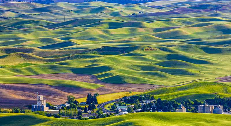 Palouse region in Washington