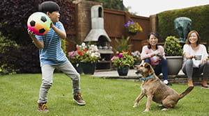 Child throwing ball to dog in back yard