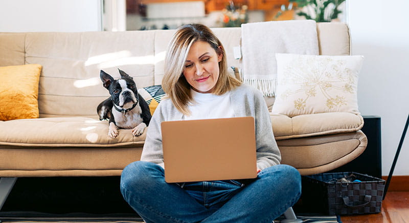 Person using computer with dog on couch at home