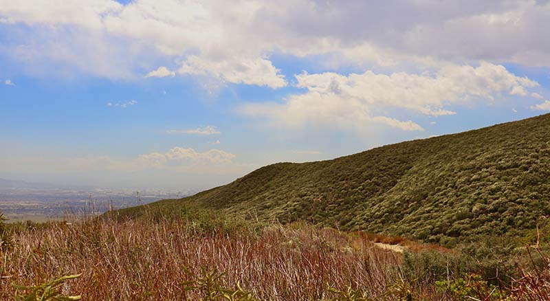 Rancho Cucamonga landscape
