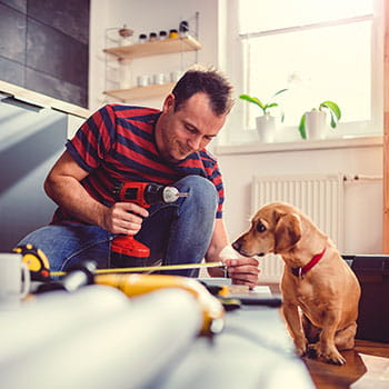 Person using tools which making repairs in kitchen with dog